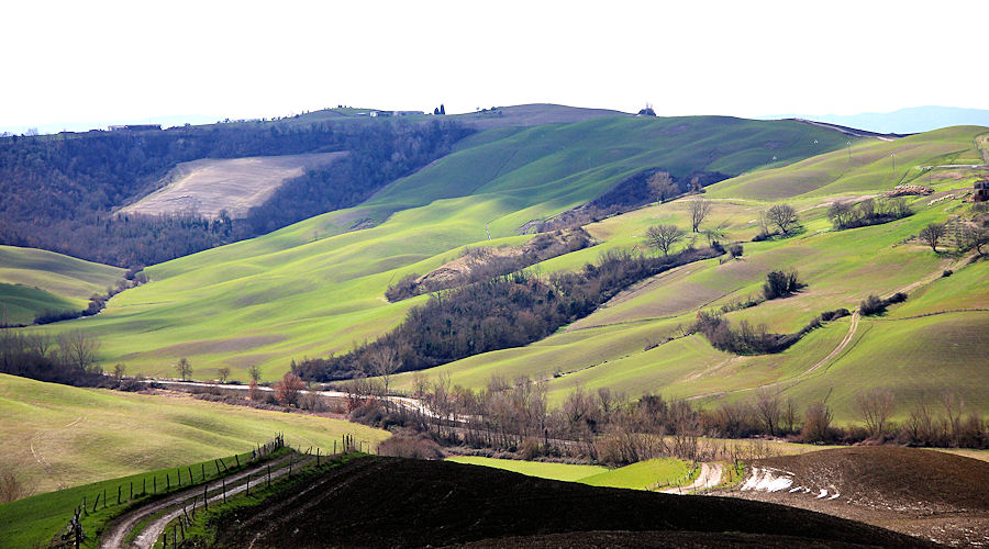 Crete Senesi